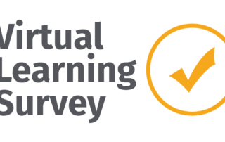 Virtual Learning Survey