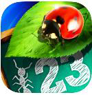 Bugs and Numbers