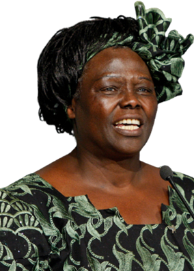 Wangari-Maathai