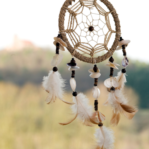 An image of a Dreamcatcher