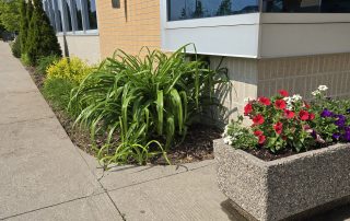 Creating Green Landscapes