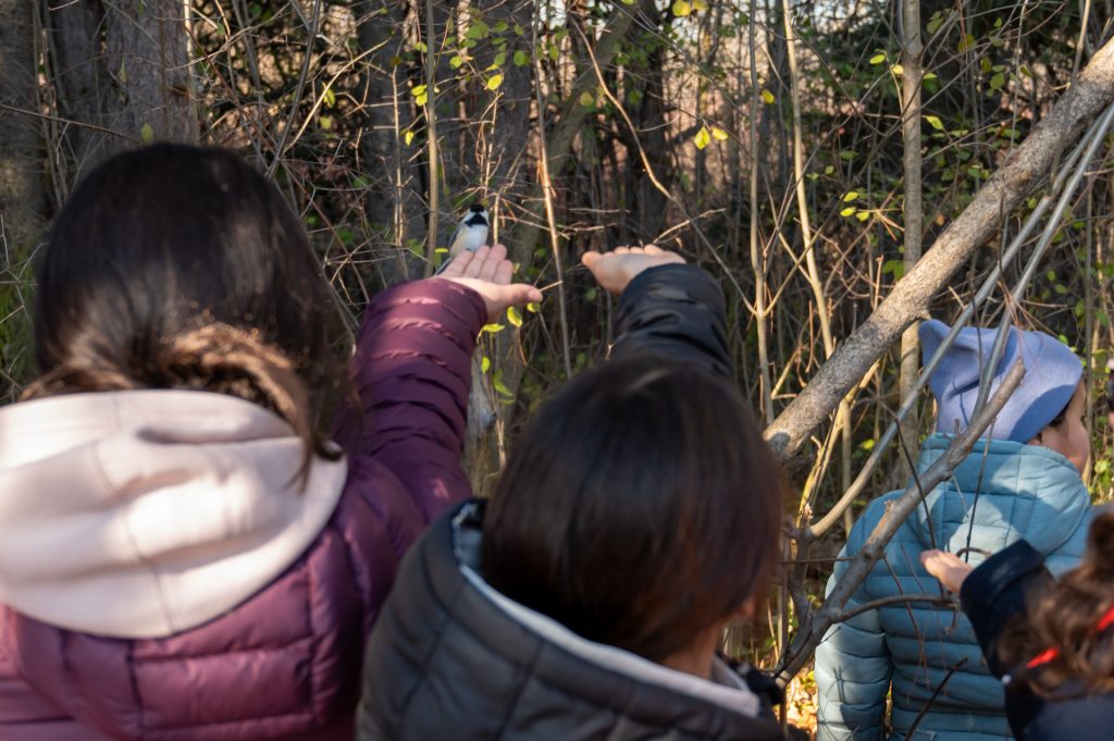 Students with Chickadee